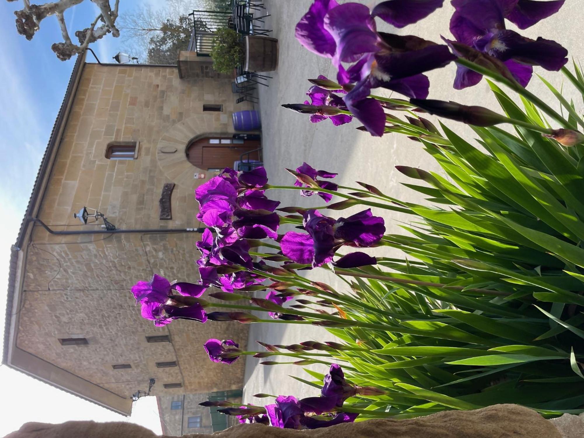 La Posada De Leza La Guardia Buitenkant foto